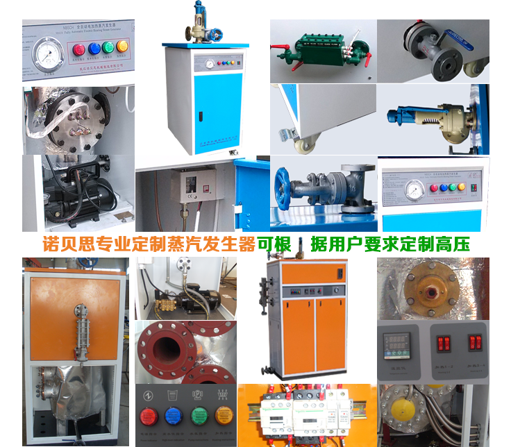 高压蒸汽发生器_小型高压蒸汽发生器细节