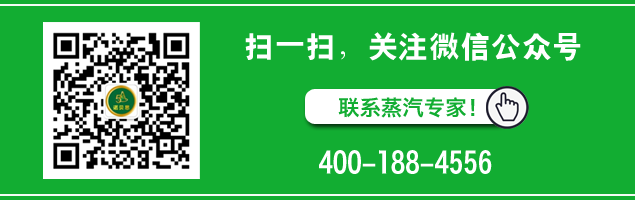 江苏混凝土养护蒸汽发生器